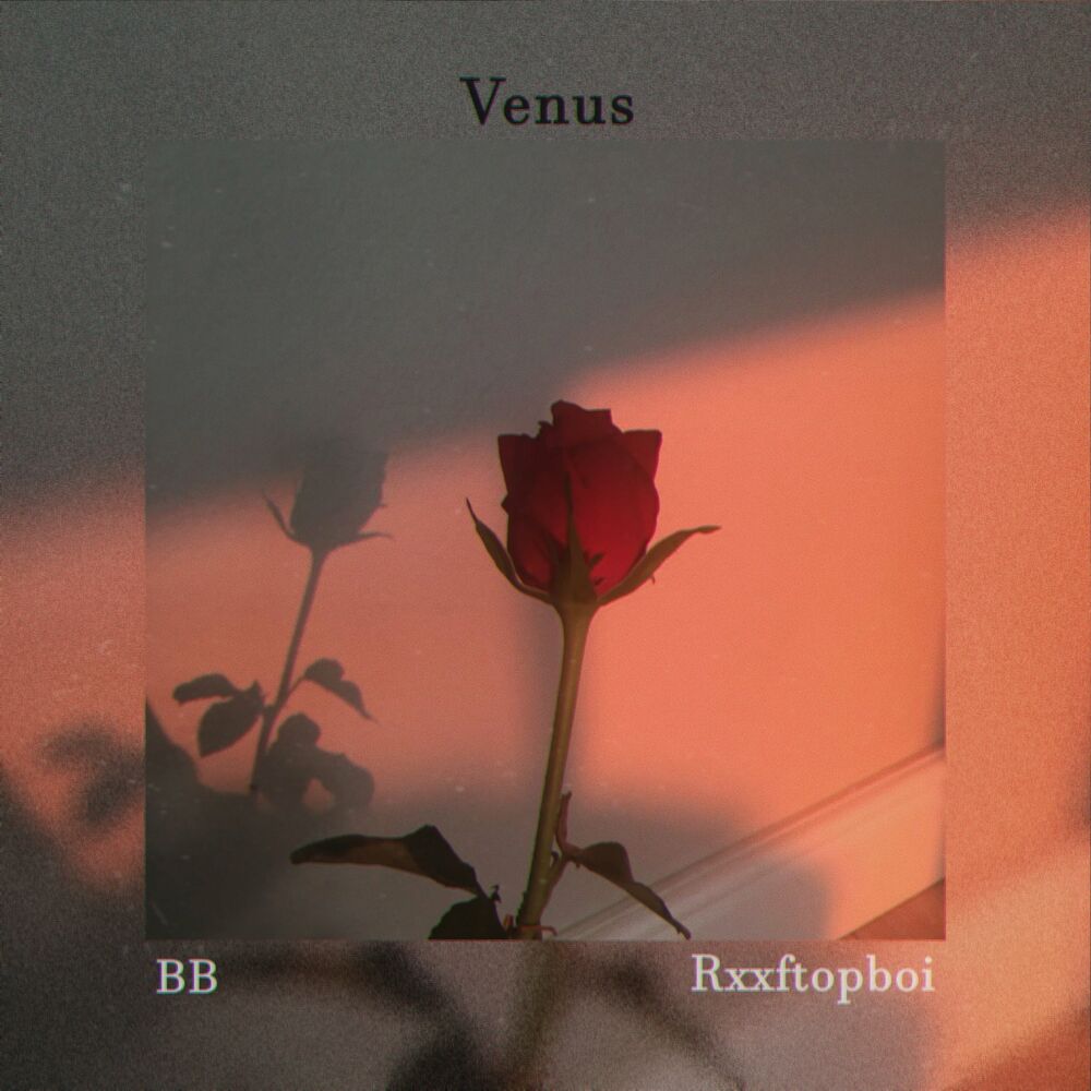 BB – Venus – Single