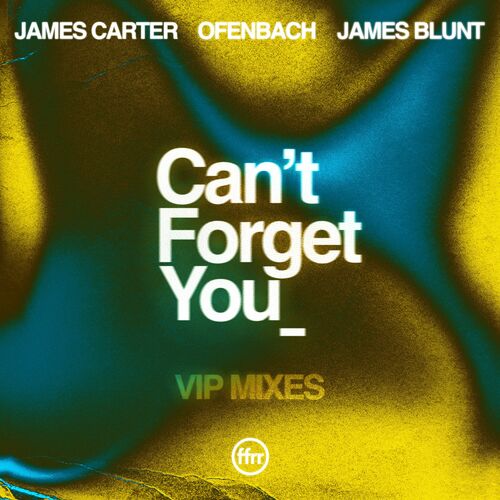 Can’t Forget You (feat. James Blunt) (VIP Mixes) - James Carter