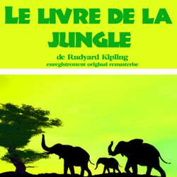 Le livre de la jungle (Les plus beaux contes pour enfants)