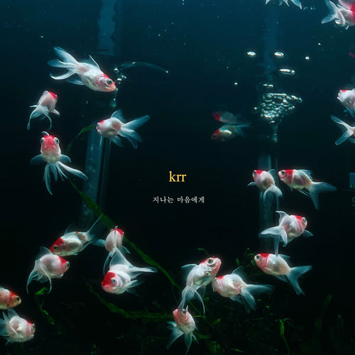 Krr – Passed by – Single