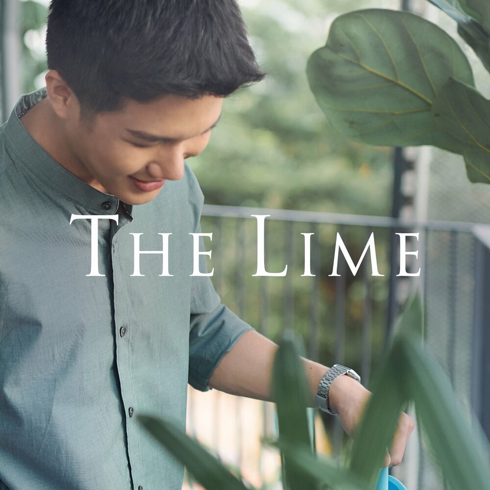 The Lime – It Is Love – Single