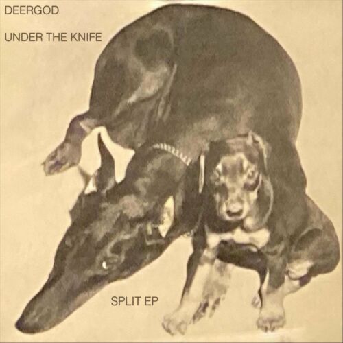  Deergod / Under The Knife (2024) 