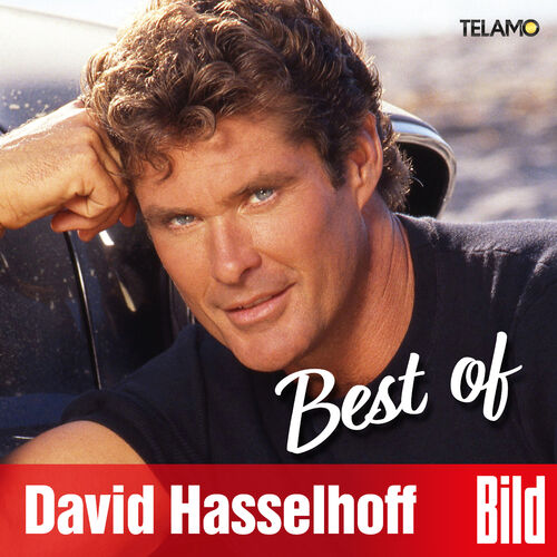 David Hasselhoff - BILD Best Of [Mp3 320 KBS] [2019]
