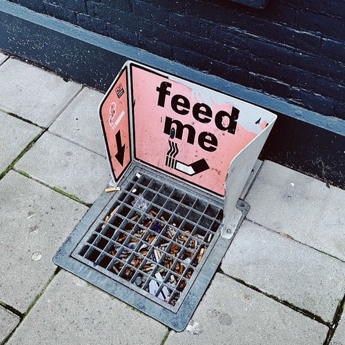 Sneezy – Feed me – Single