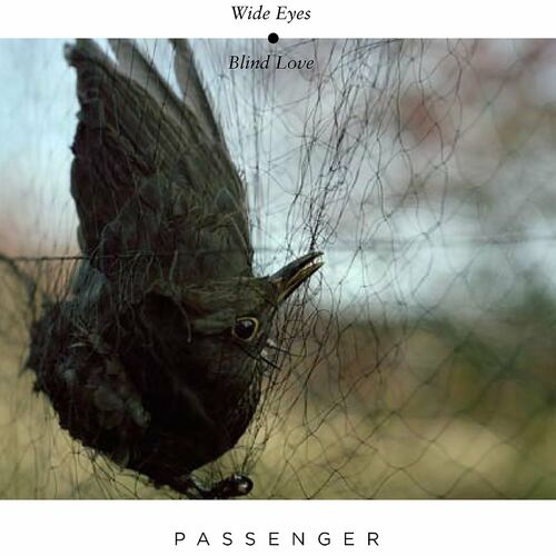 Wide Eyes Blind Love - Passenger
