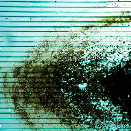 Ashiroo – Miss My Everything – Single