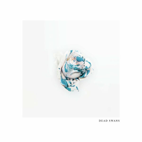 Amorla - Dead Swans [single] (2020)