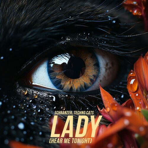  Schranzer - Lady (Hear Me Tonight) (2024) 