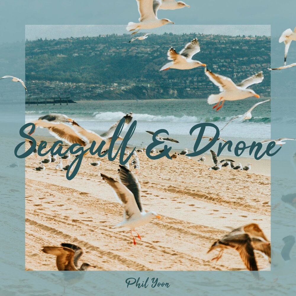 Phil Yoon – Seagull & Drone – Single