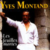 Yves Montand - Les feuilles mortes