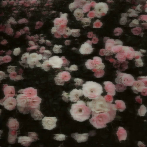 Yoontaehee – Alone – Single