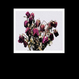 Thiago China Rosa Despedacada Pt 1 Music Streaming Listen On Deezer