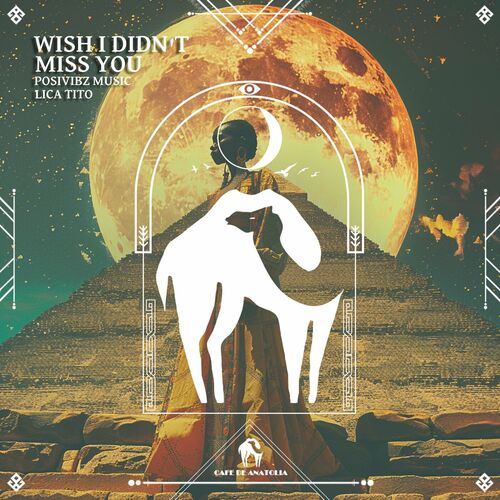 PosiVibz Music, Lica Tito - Wish I Didn't Miss You (2024)