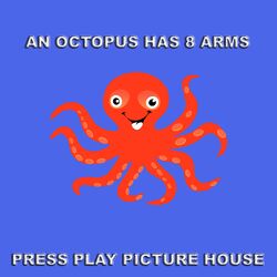 An Octopus Has 8 Arms
