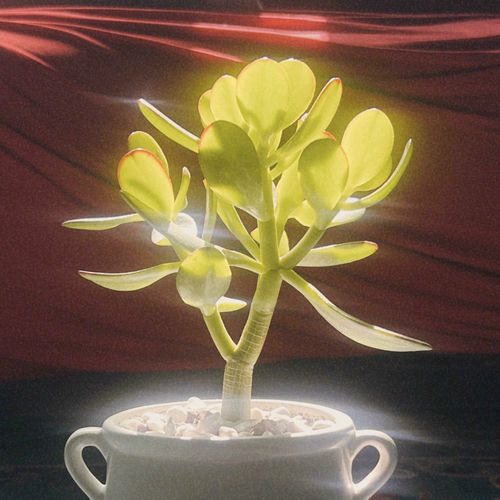 Soombee – To. My Lover – Single