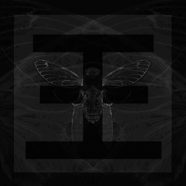 Reflections - Cicada [single] (2021)