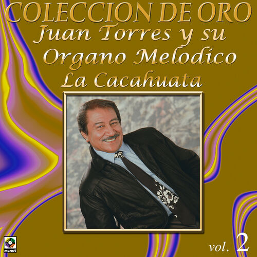 Cd Colección de Oro Vol.2-instrumental mexicano 500x500-000000-80-0-0