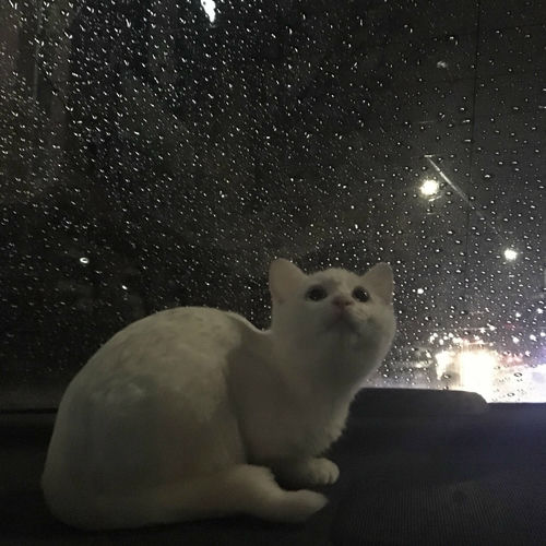 Kim Boogyeong – Take me with you – Single