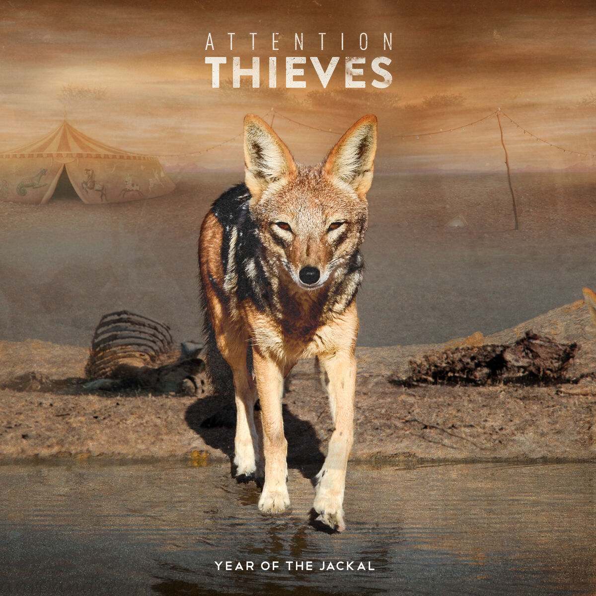 Attention Thieves - Year of the Jackal (2015)