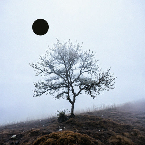 BRWN – illusion (Feat. Eunyong Sim) – Single