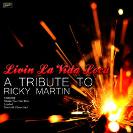 Ameritz Tribute Club Livin La Vida Loca A Tribute To Ricky Martin Lyrics And Songs Deezer