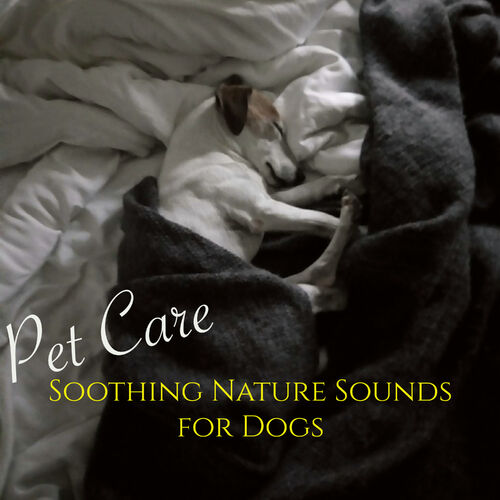 nature sounds for dogs