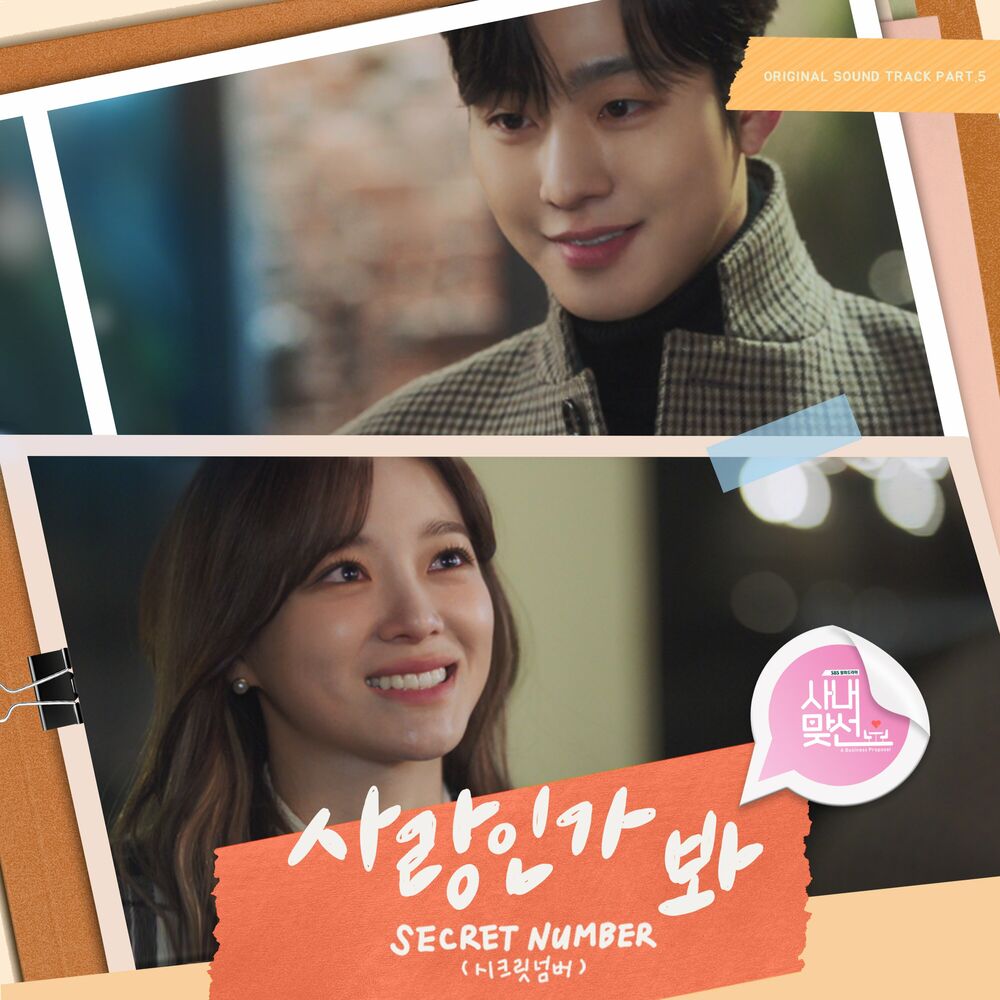 SECRET NUMBER – Love, Maybe (A Business Proposal OST Part.5)