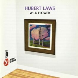 Hubert Laws Wild Flower Lyrics And Songs Deezer deezer