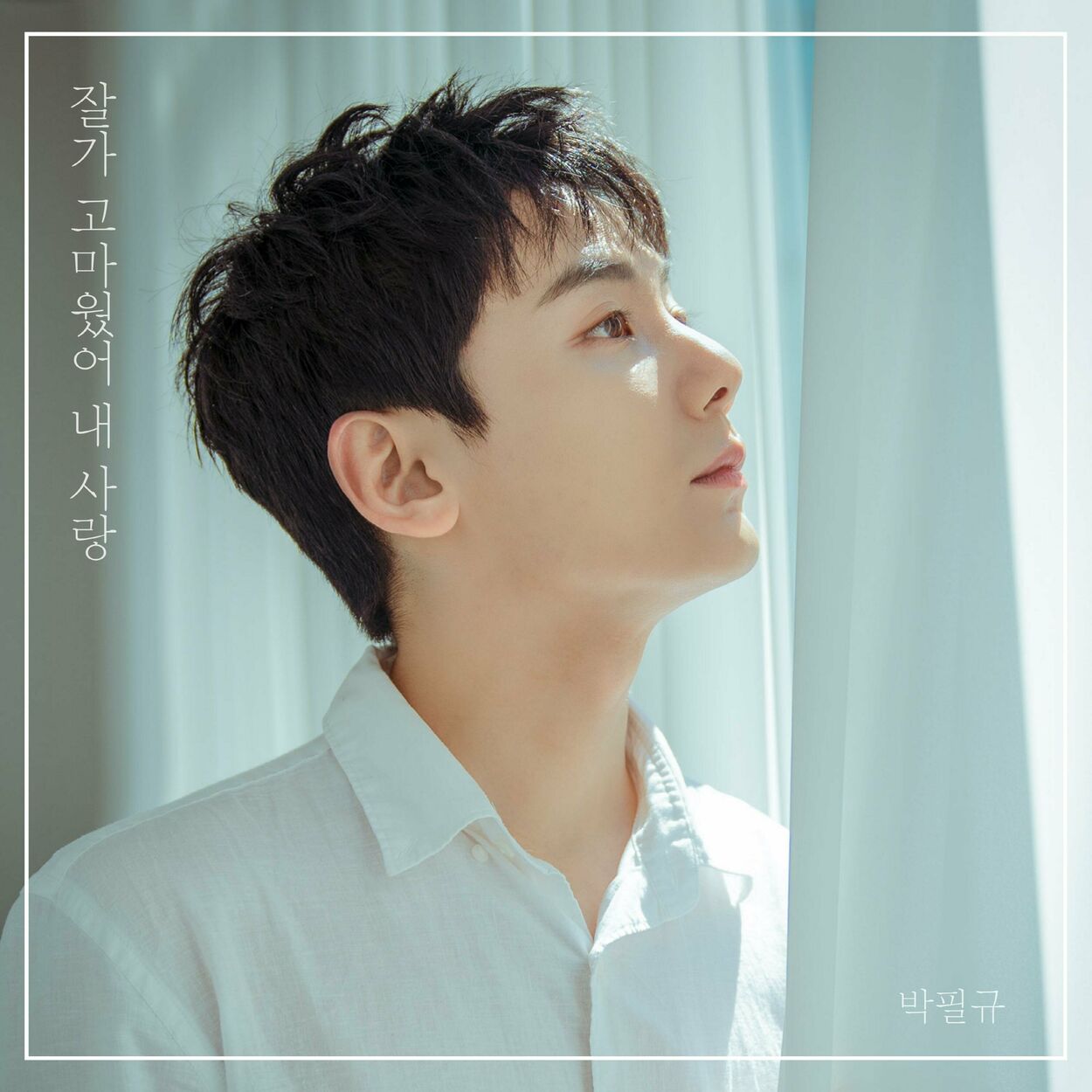 Park Pil kyu – Goodbye My Love – Single