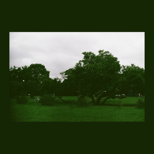 Moskva Surfing Club – Grass and Echoes – Single