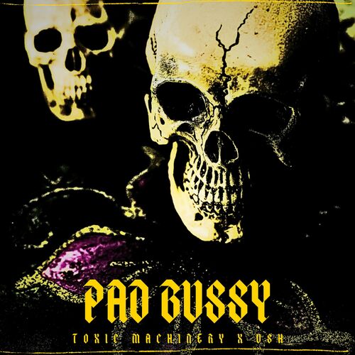  Toxic Machinery And Ush - Pad Bussy (2024) 