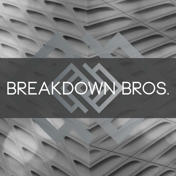 Breakdown Bros - 100.000 Lies [single] (2016)