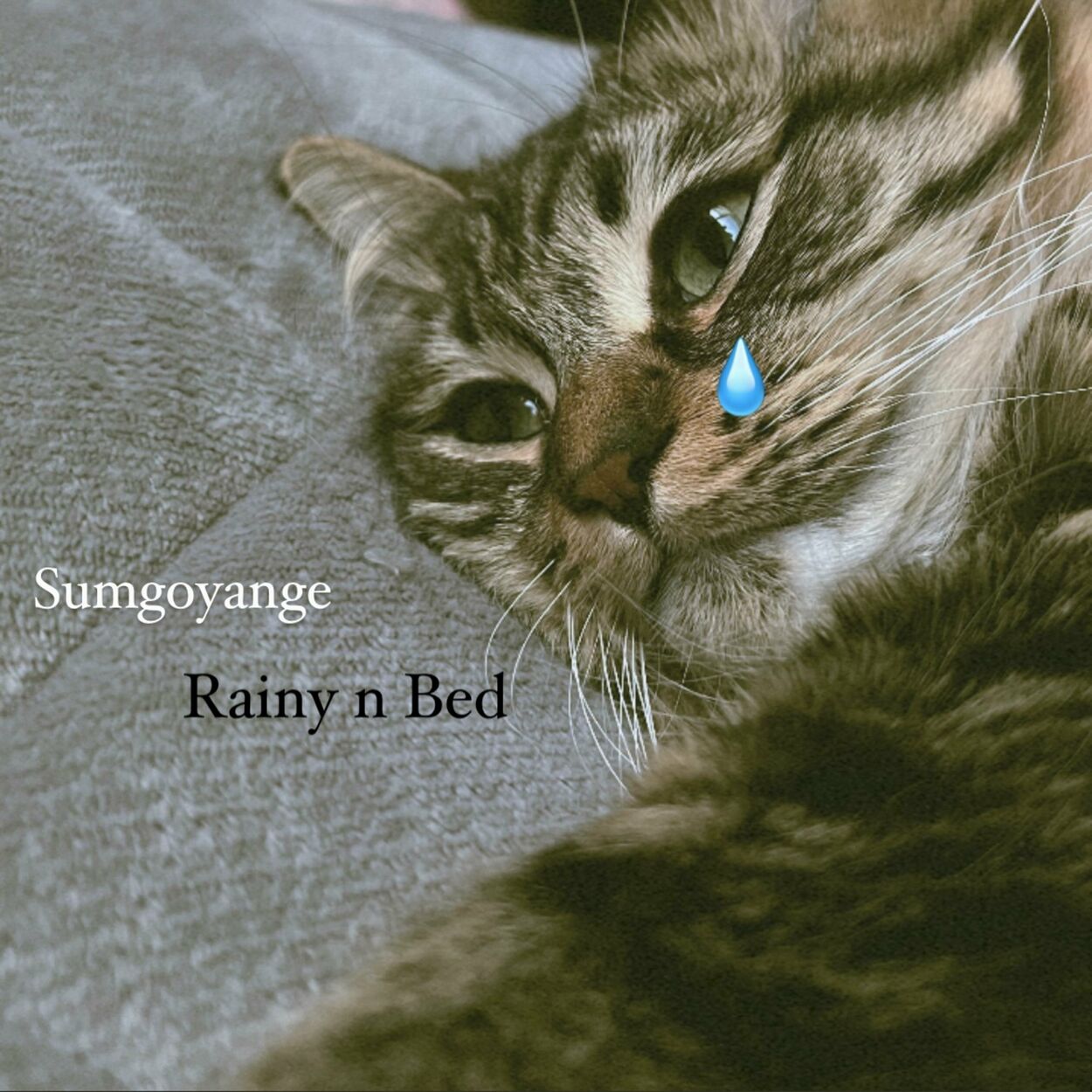 sumgoyange – Rainy n Bed – Single