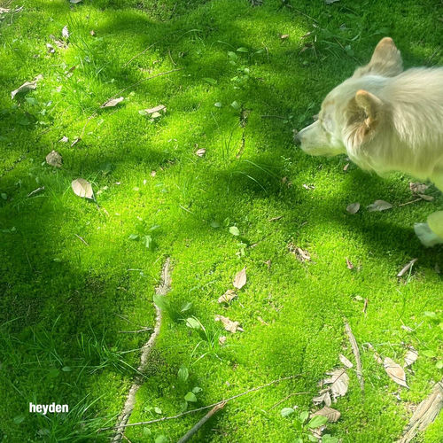 heyden – Behind the Door – EP