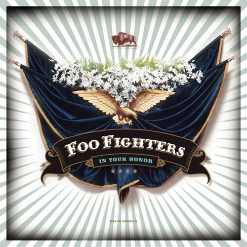 d.o.a foo fighters lyrics