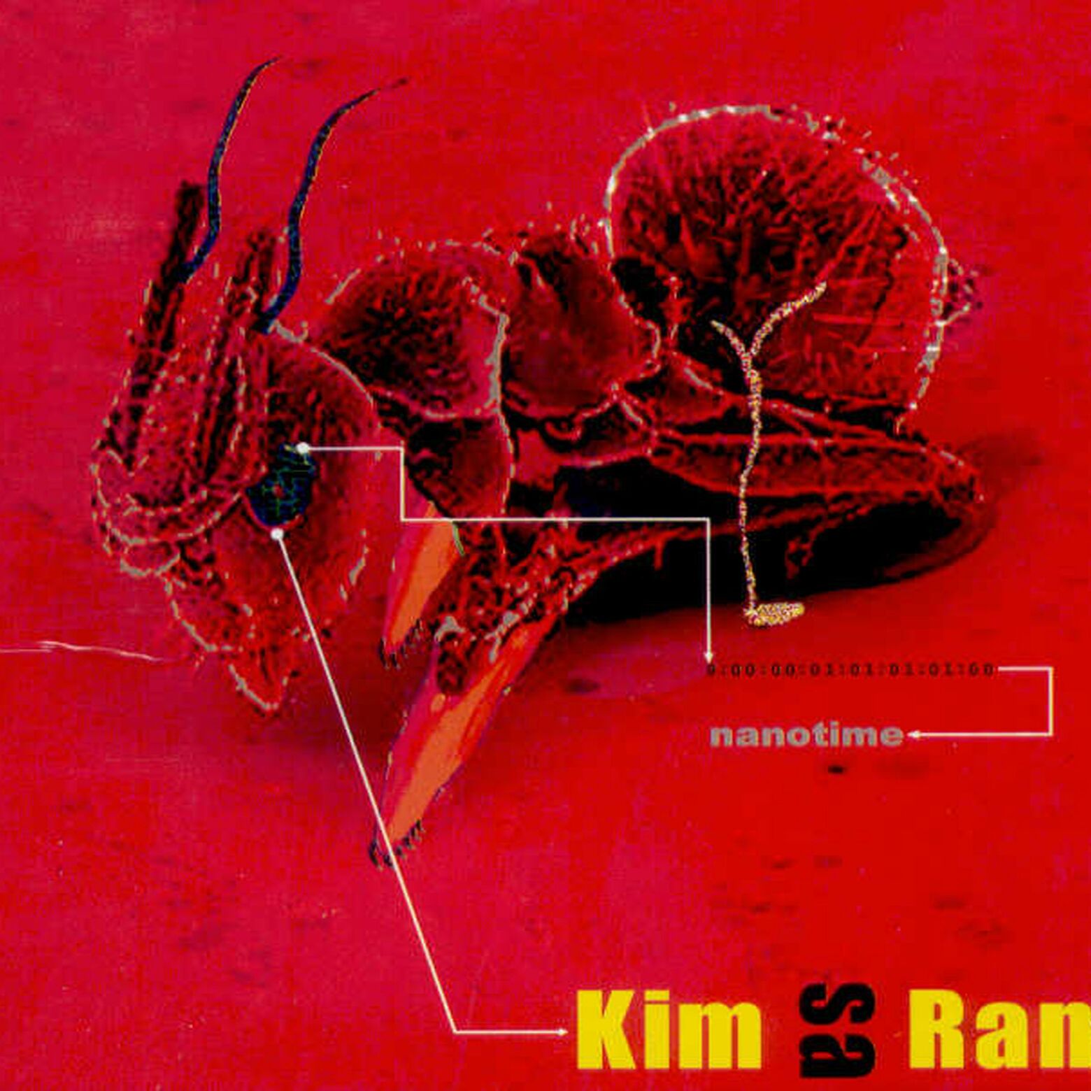 Kim Sa Rang – Nanotime