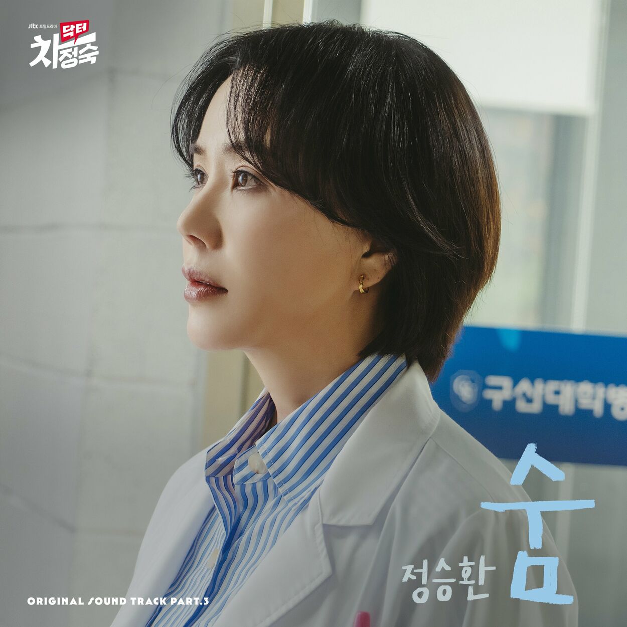 Jung Seung Hwan – Doctor Cha OST Pt. 3