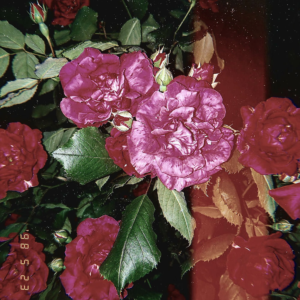 Yagan Camp – Ayaya – EP