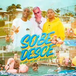 CD Dj GBR, MC GW, MC Rodrigo do CN – Sobe e Desce - No Pique BBB (2022)