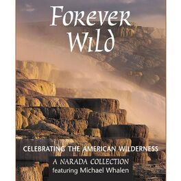 Various Artists - Forever Wild