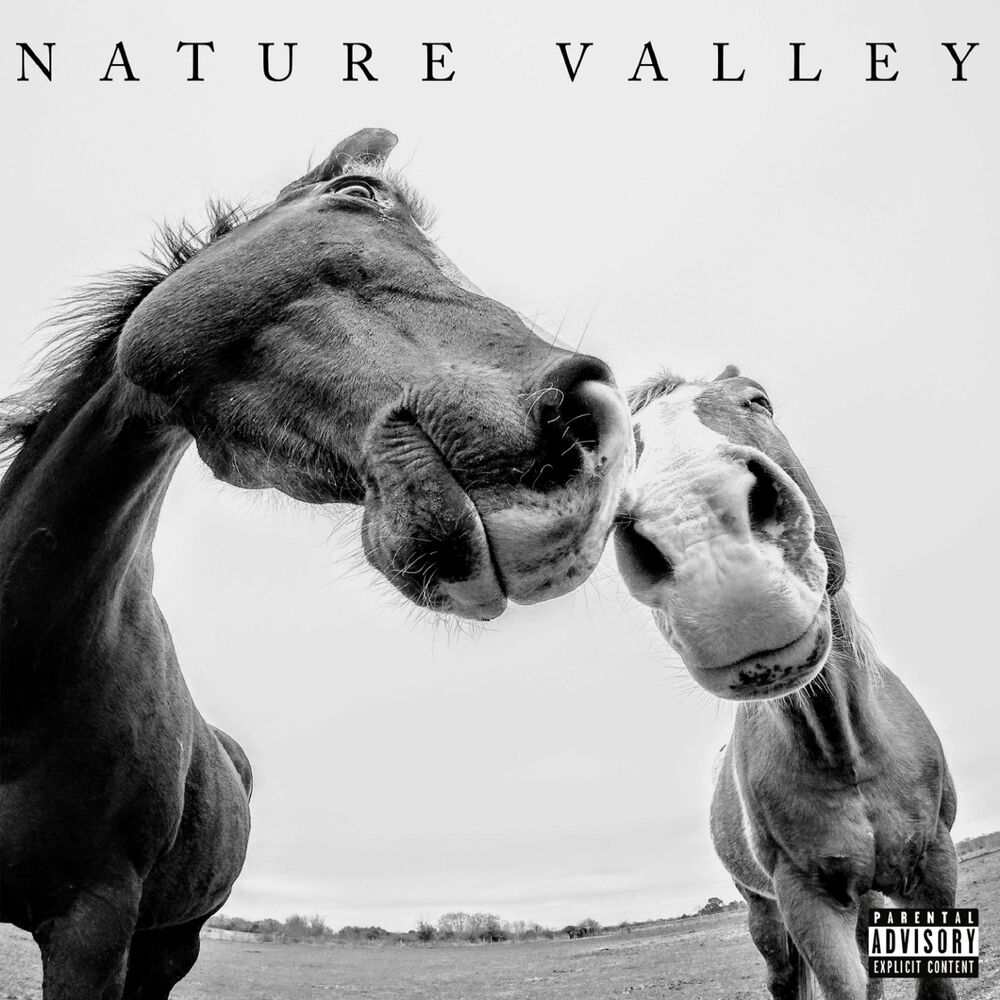 Polabae – NATURE VALLEY (feat. KIMISWILD) – Single