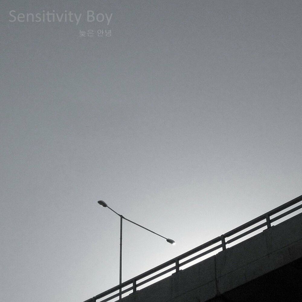 Sentimental Boy – 늦은 안녕 – EP