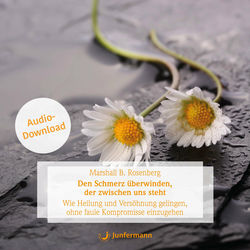 Den Schmerz überwinden, der zwischen uns steht (Wie Heilung und Versöhnung gelingen)