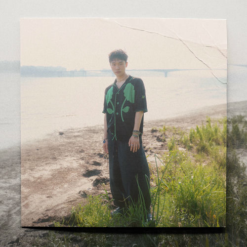 Neon – Cricket and Lavender – Single