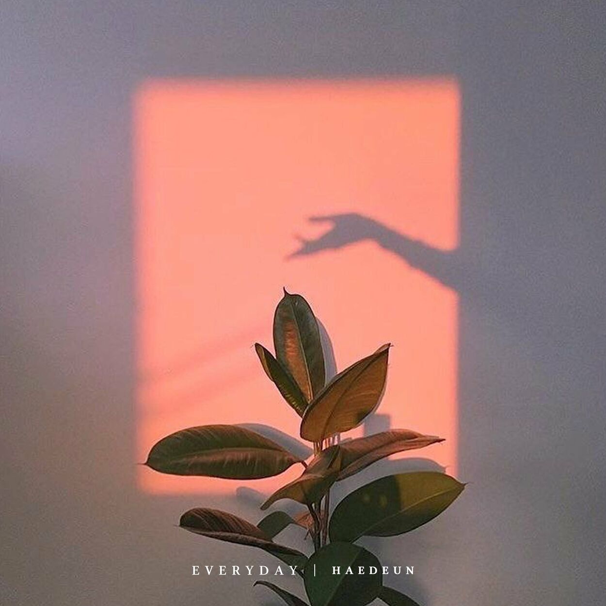 HAEDEUN – Everyday – Single