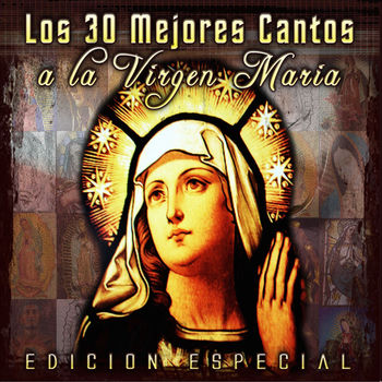 Los Buhos Buenos Dias Paloma Blanca Listen With Lyrics Deezer deezer