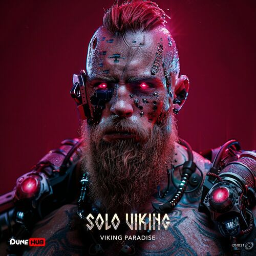  Solo Viking - Viking Paradise (2024) 