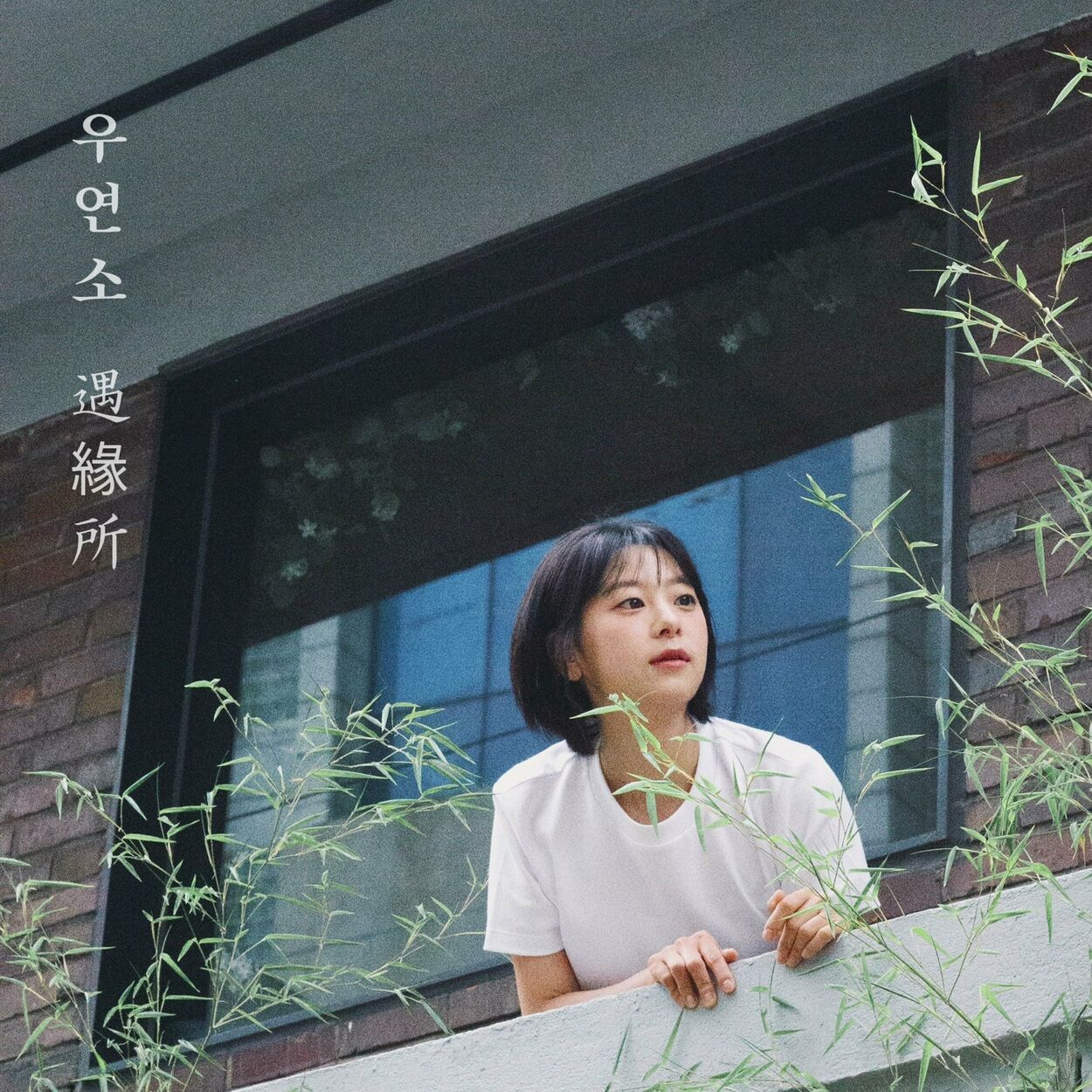 Woo Yeon So – Stars on Summer – Single