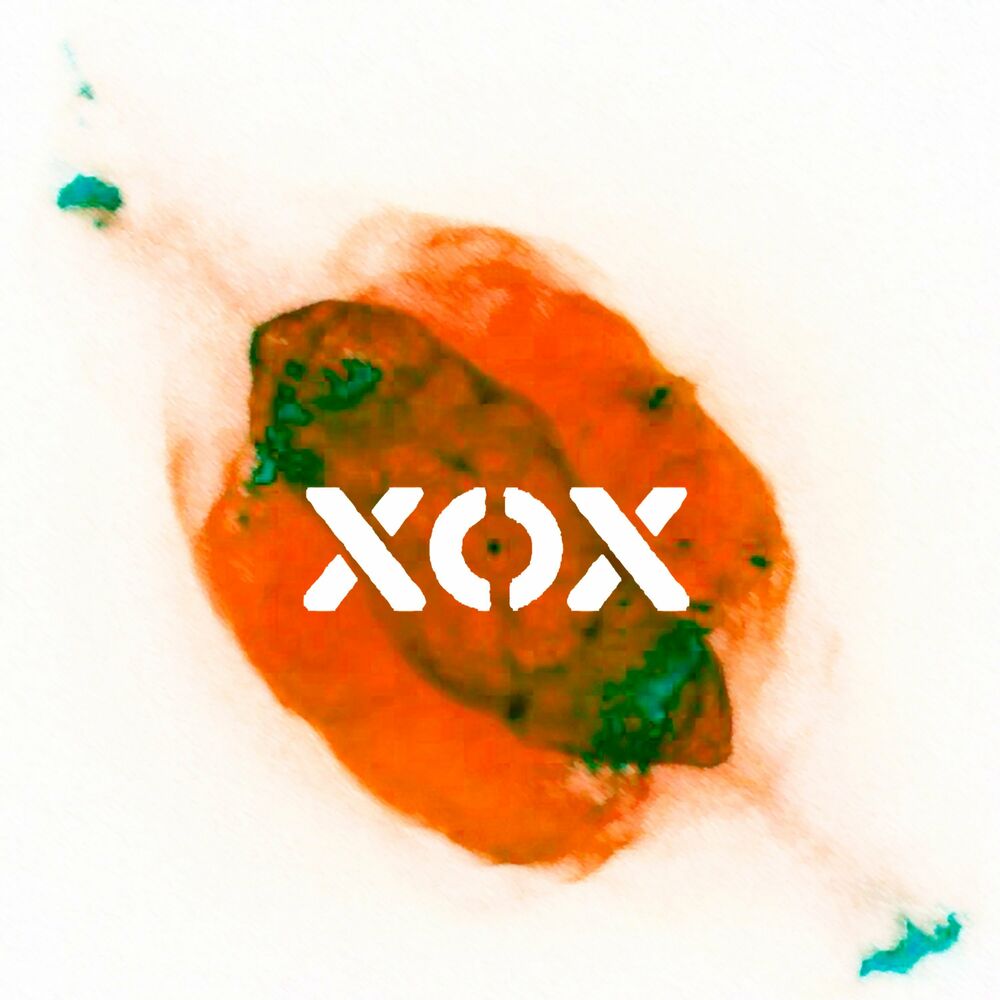 XOX – Chaosmos – EP