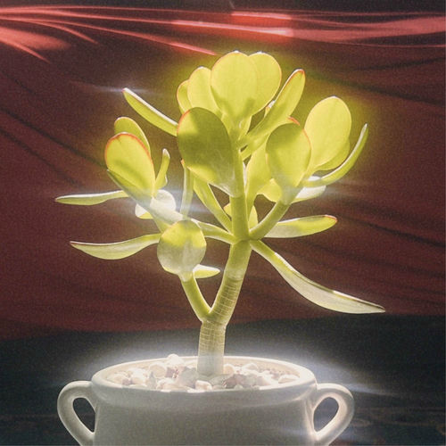 Soombee – To. My Lover – EP